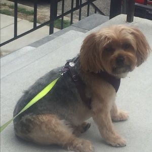 Meet your Posher, Lee